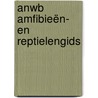 ANWB Amfibieën- en reptielengids by Wouter Beukema