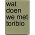 Wat doen we met Toribio