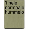't Hele Normaale Hummelo door Jan Colijn