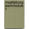 Maaltijdzorg werkmodule 1 door Mary-Ane Koeken Ann Van Aperen
