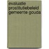 Evaluatie prostitutiebeleid gemeente Gouda