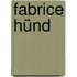 Fabrice Hünd