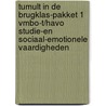 Tumult in de brugklas-pakket 1 vmbo-t/havo Studie-en sociaal-emotionele vaardigheden by Sandra Huigen