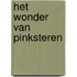 Het wonder van Pinksteren