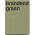 Brandend graan