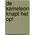 De Kameleon knapt het op!