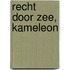 Recht door zee, Kameleon