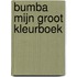 Bumba mijn groot kleurboek