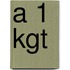 A 1 kgt