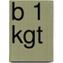 B 1 kgt