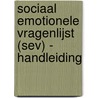 Sociaal Emotionele Vragenlijst (SEV) - handleiding door J.D. van der Ploeg