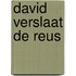 David verslaat de reus