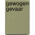 Gewogen gevaar