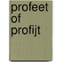 Profeet of profijt