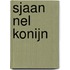 Sjaan Nel Konijn