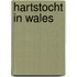 Hartstocht in Wales