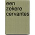 Een zekere Cervantes