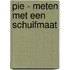 PIE - Meten met een schuifmaat