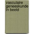 Vasculaire geneeskunde in beeld