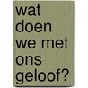 Wat doen we met ons geloof? door Kees Goedhart