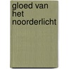 Gloed van het noorderlicht by Mary J. Forbes