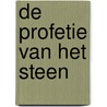 De profetie van het steen door Silvia Rietdijk