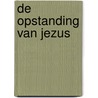De opstanding van Jezus door Sean McDowell