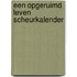 Een opgeruimd leven scheurkalender