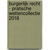 Burgerlijk Recht - Pratische WettenCollectie 2018 by Frank Fleerackers