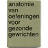 Anatomie van oefeningen voor gezonde gewrichten