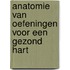 Anatomie van oefeningen voor een gezond hart