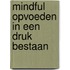 Mindful opvoeden in een druk bestaan