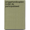 Jonggehandicapten onder de Participatiewet by Marloes Lammers