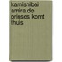 Kamishibai Amira de prinses komt thuis