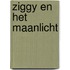 Ziggy en het maanlicht