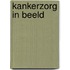 Kankerzorg in beeld