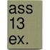 ASS 13 ex.