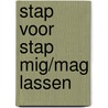Stap voor stap mig/mag lassen door M. Brier