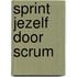 Sprint jezelf door scrum