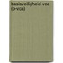 Basisveiligheid-VCA (B-VCA)