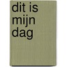 Dit is mijn dag by Menno Wigman