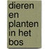 Dieren en planten in het bos