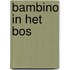 Bambino in het bos