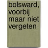 Bolsward, voorbij maar niet vergeten by Peter Mulder