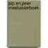 Pip en Peer Meeluisterboek