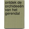 Ontdek de Orchideeën van het Gerendal door C.A.J. Kreutz
