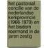 Het Pastoraal concilie van de Nederlandse kerkprovincie (1966-1970) en het bisdom Roermond in de jaren zestig