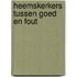 Heemskerkers tussen goed en fout