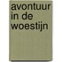 Avontuur in de woestijn