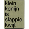 Klein Konijn is slappie kwijt by Lida Dijkstra